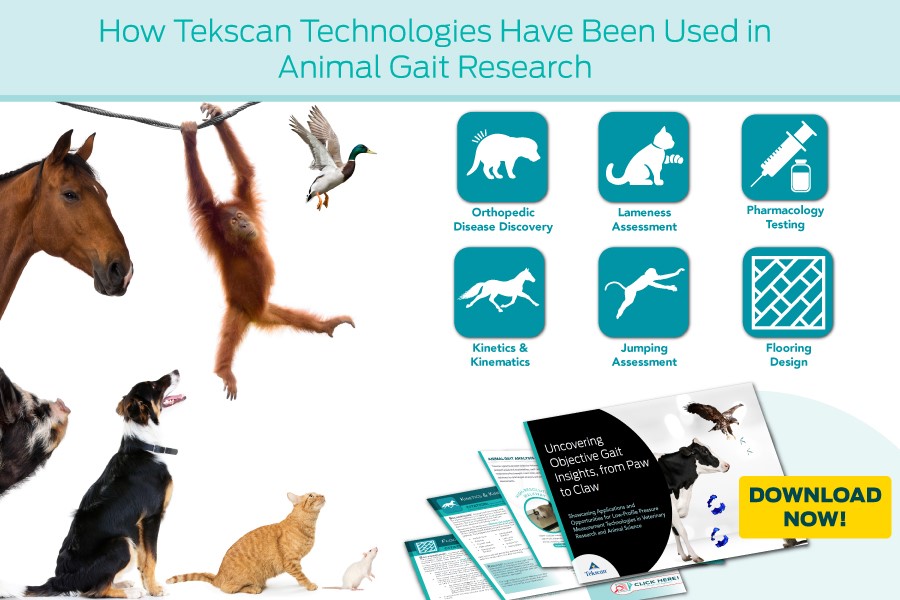 How Tekscan Technologies Have Been Used in Animal Gait Research