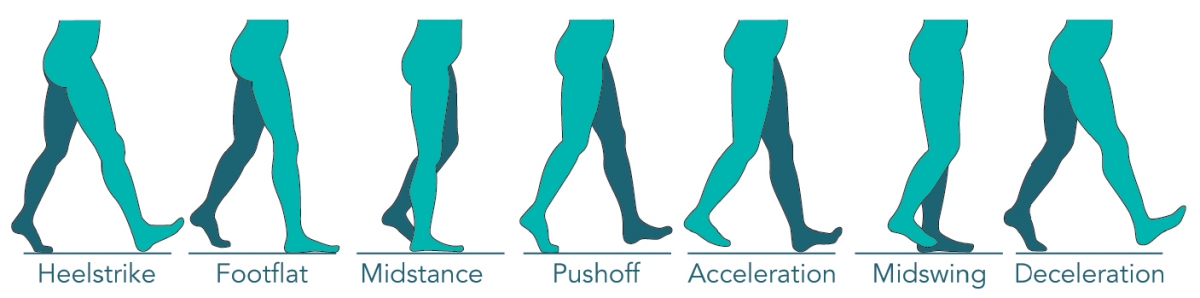 Gait Motion Analysis 29