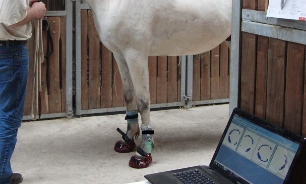 hoof system wireless