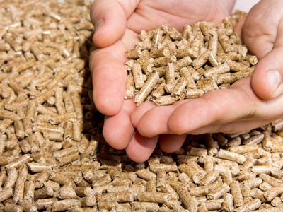 Figure 1: Example of pelleted biomass materials.
