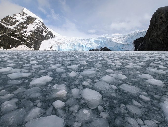 Shackleton Antarctic