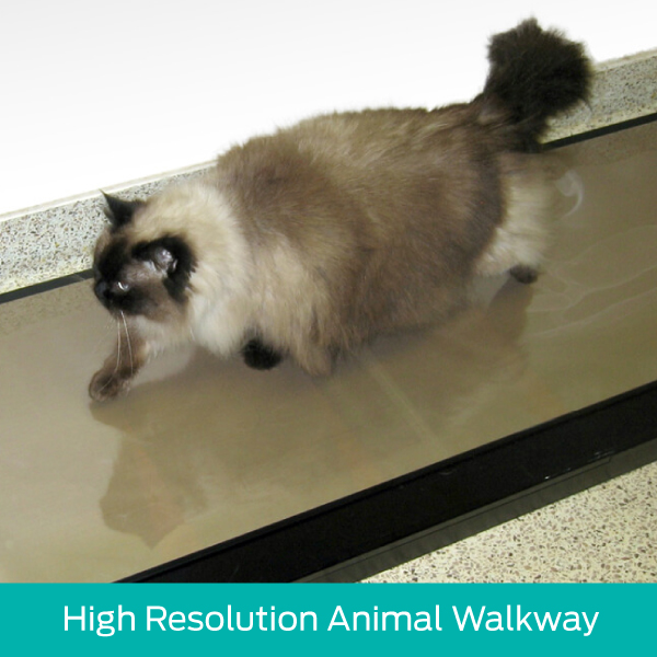 High Resolution Animal Walkway