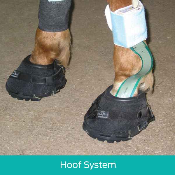 Hoof System