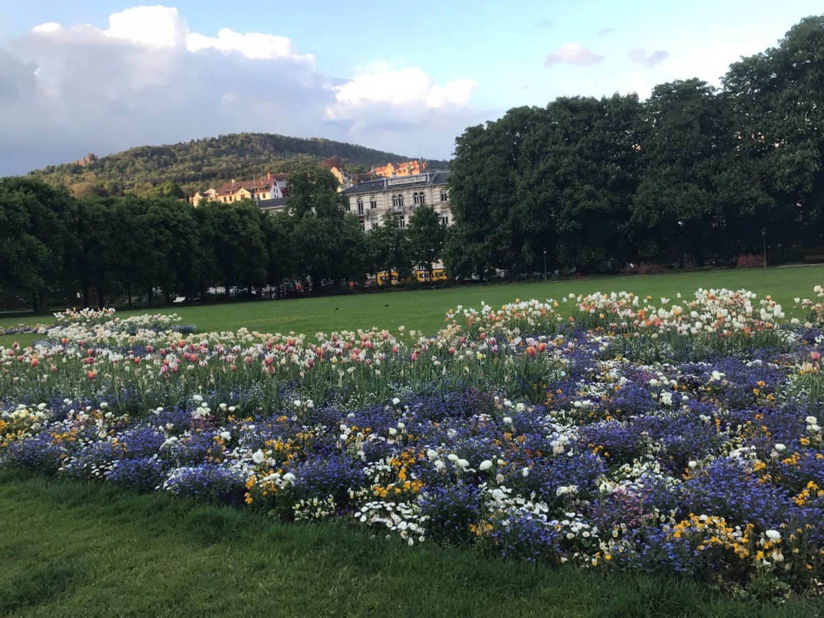 Gönneranlage Botanical Gardens served as a backdrop for the meeting in Baden-Baden