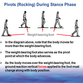 Gait Analysis & Foot Function Webinar