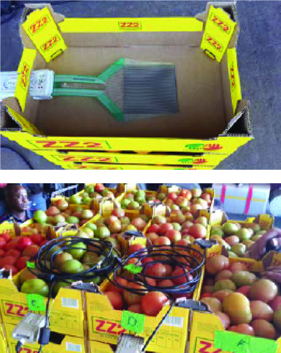 Figure 2: I-Scan systems used to quantify pressure exchanges within tomato transport bins (images courtesy of the Post-Harvest Innovation Programme of South Africa).