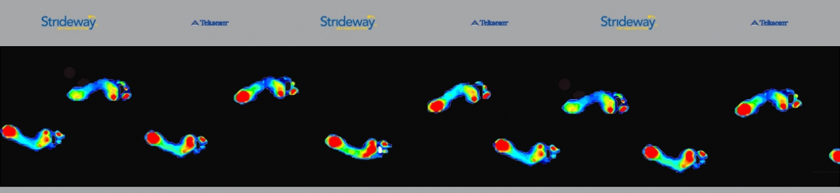 Tekscan Strideway