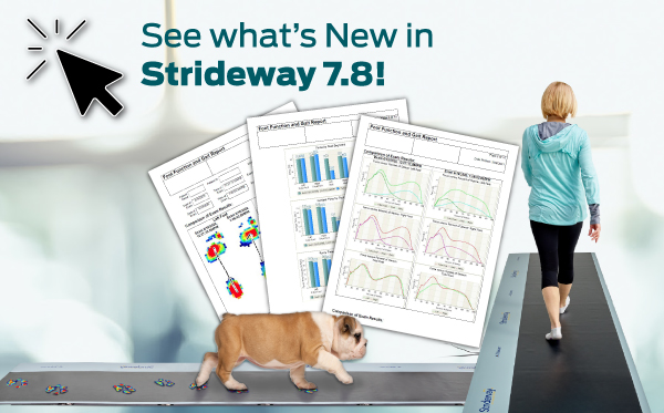 what's new in strideway 7.8