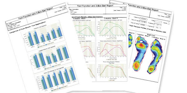 Reports allow for easy documentation of progress.