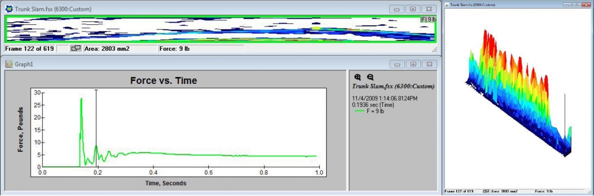 Several oscillating cycles occur before the forces stabilize.