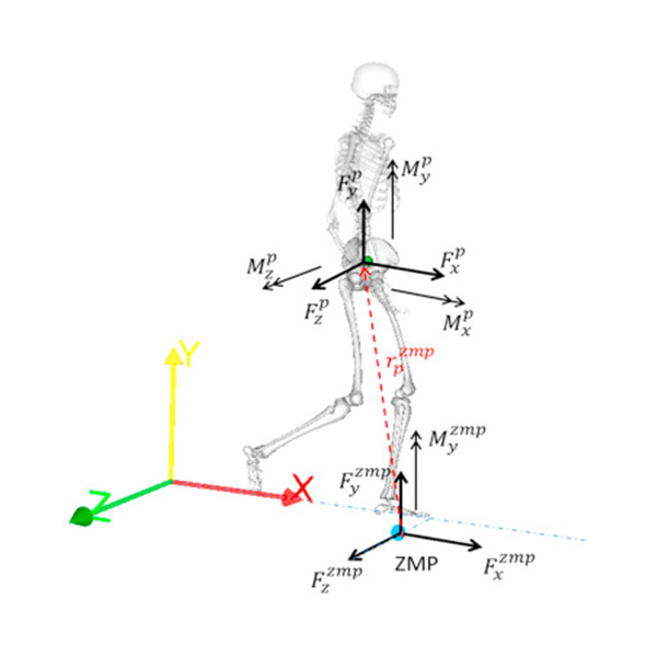 Image Source: Wagner, Markus &amp; Slijepcevic, Djordje &amp; Horsak, Brian &amp; Rind, Alexander &amp; Zeppelzauer, Matthias &amp; Aigner, Wolfgang. (2018). KAVAGait: Knowledge-Assisted Visual Analytics for Clinical Gait Analysis. IEEE Transactions on Visualization and Computer Graphics. PP.  0.1109/TVCG.2017.2785271.