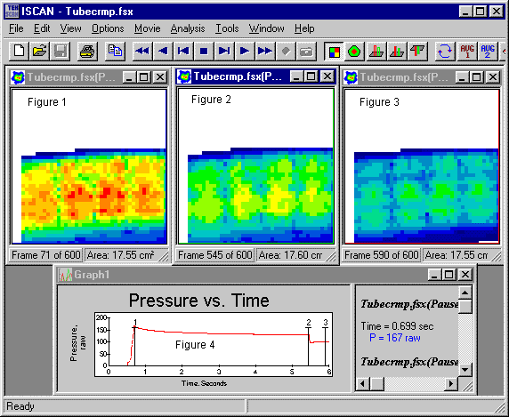 Hose Crimp Pressure Profile