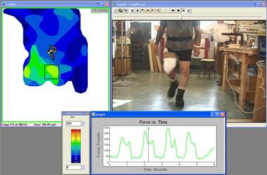 Sample F-Socket software showing the video synchronization add-on feature.