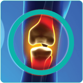 Biomechanics of Hyperflexion and Kneeling before and after Total Knee Arthroplasty