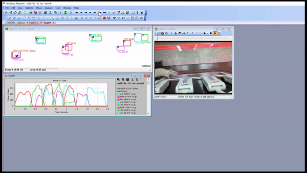 Pressure Sensing Mats and Walkways