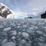 Elephant Island Antartica