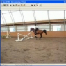 Equine gait analysis with the Hoof System