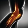 Human Joint Analysis with the K-Scan