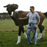 Hoof sensor featured in USA Today article on laminitis