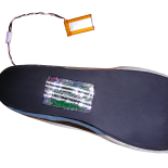 iShoe Insole