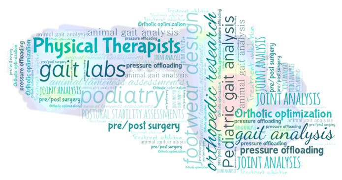 Biomechanics words in a word cloud